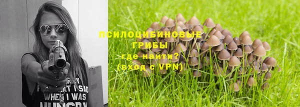хмурый Алексеевка